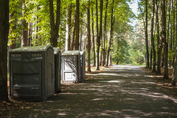 Best Local porta potty services  in Timberlane, IL